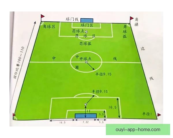 世界杯竞猜盘口分析与预测技巧全面解析助你精准押注胜负走势